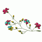 花样6