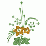 花样7